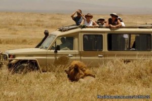 African Jambo Safaris | Arusha, Tanzania | Eco Tours