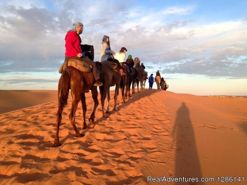 Camel Ride