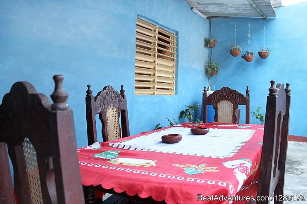 Terraza patio interior | Hostal Casa Cefe y Yeni, independent house | Image #7/14 | 