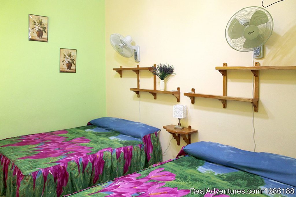 Hostal El Lirio | Image #16/23 | 