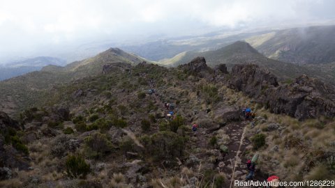 People Climb The Mountain