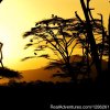 7 Days Safaris | Arusha, Tanzania