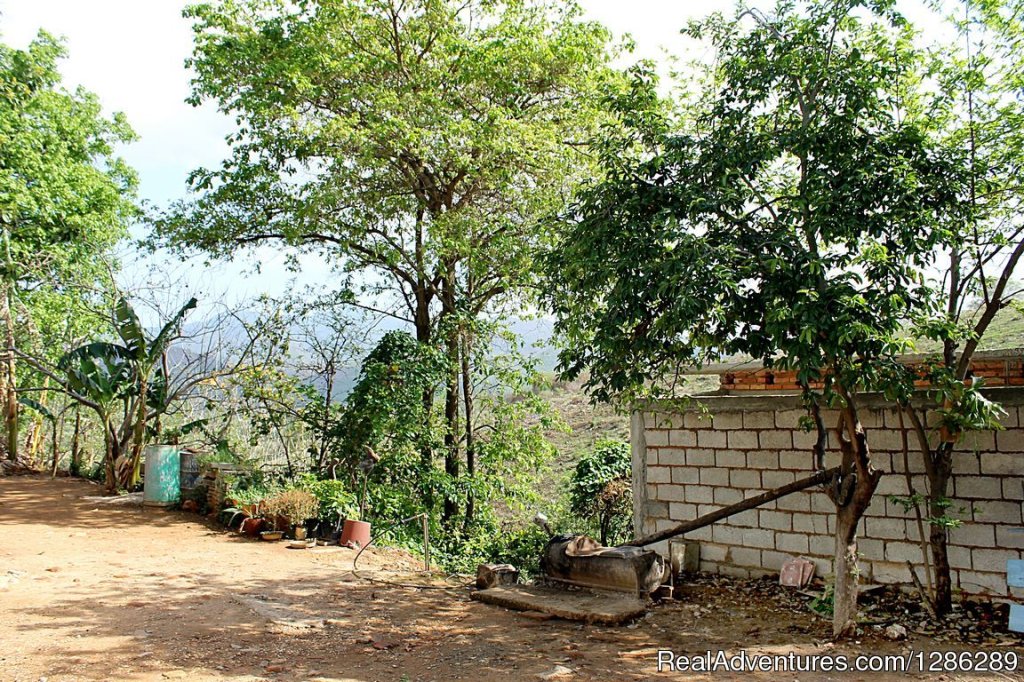 Finca La Bendecida | Image #26/26 | 