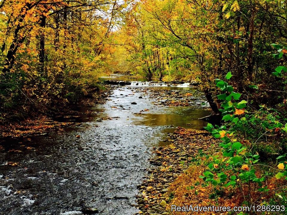 Creek View and Water Fall | Friendship Falls Camping and Cabins, Cosby TN | Image #2/4 | 