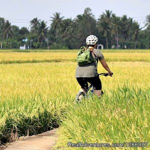 Easy cycling to rice farms Mekong Delta Vietnam