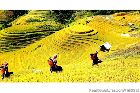 Sapa, Vietnam