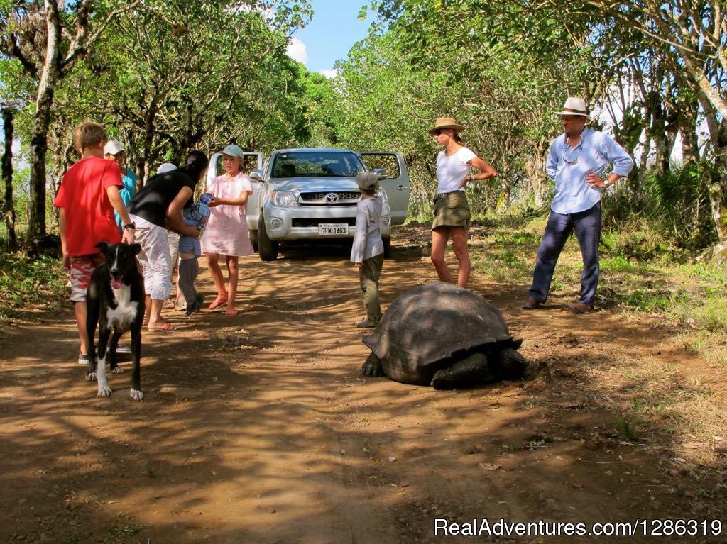 Galapagos Tours | Galapagos Safari Camp | Image #2/4 | 