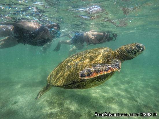 Galapagos Holidays | Galapagos Safari Camp | Image #4/4 | 