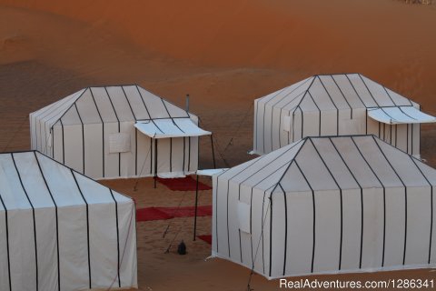 Luxury Desert Camp