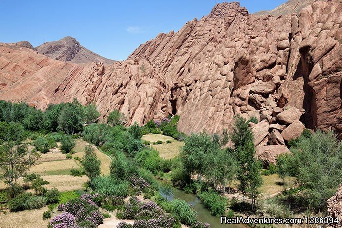 Dades valley and gorge | Camel Tours Morocco | Image #9/26 | 