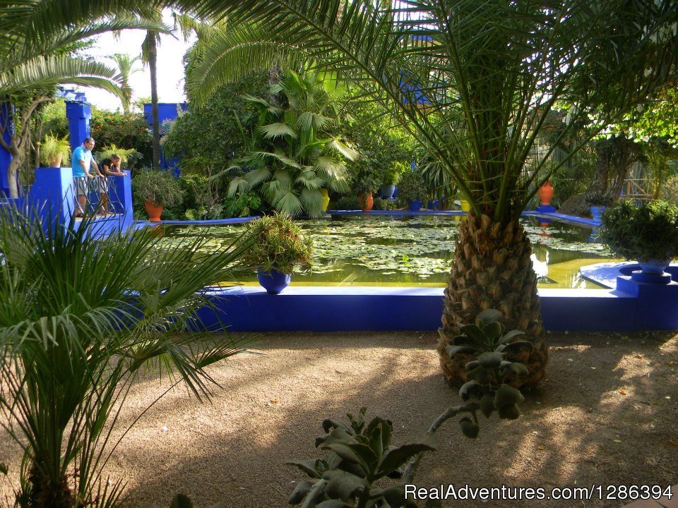 Majorelle gardens, Marrakech with local guide | Camel Tours Morocco | Image #11/26 | 