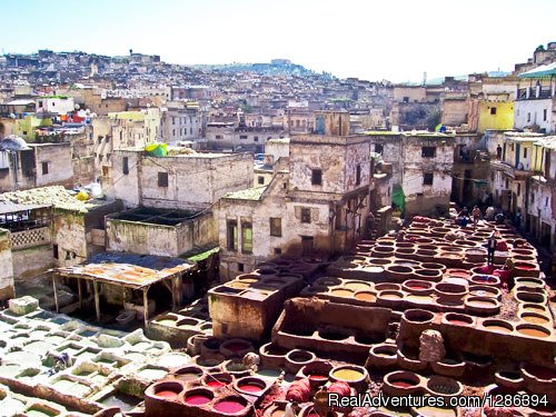 Fes Medina With a local guide | Camel Tours Morocco | Image #18/26 | 