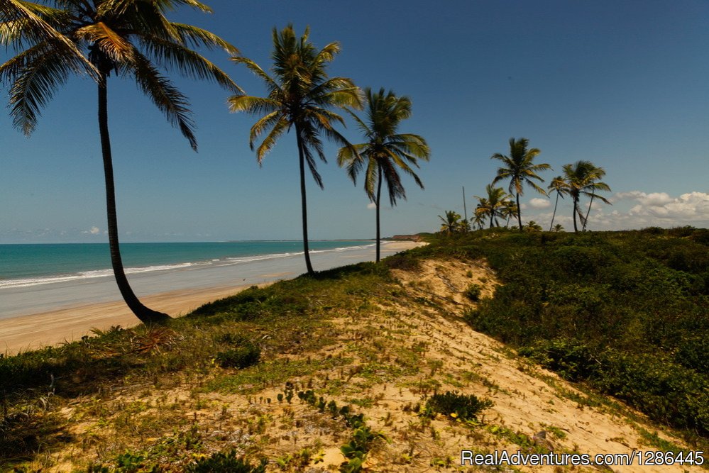 Barra do Rio Miriri savage place and nice trekking | discover the authentic Brazil | Image #6/21 | 