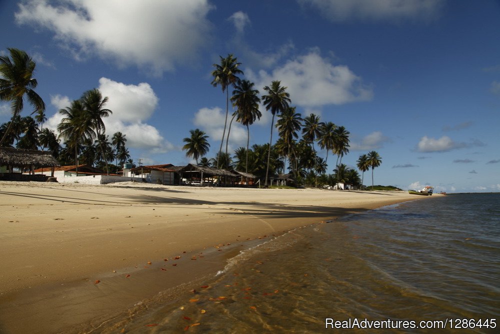 Coqueirinho A real Brasilian fisherman village | discover the authentic Brazil | Image #11/21 | 