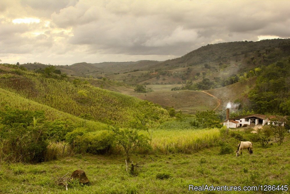 Brejo Paraibano | discover the authentic Brazil | Image #14/21 | 