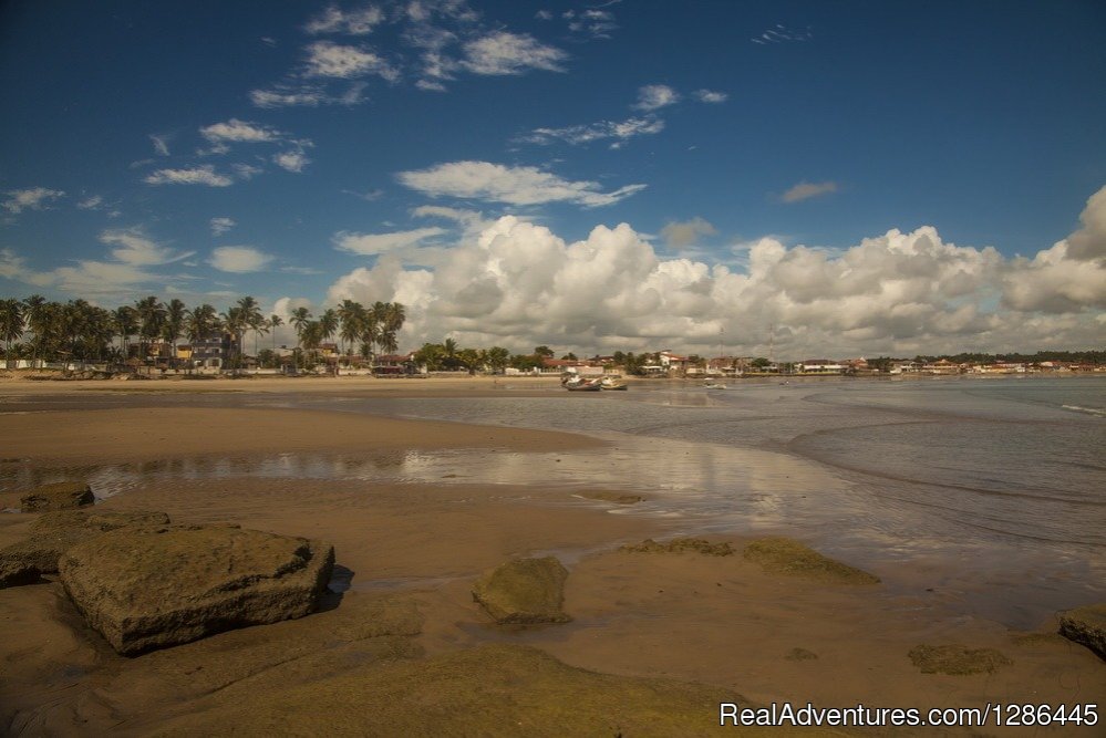 Baia da Traicao, Paraiba.Brazil | discover the authentic Brazil | Image #16/21 | 