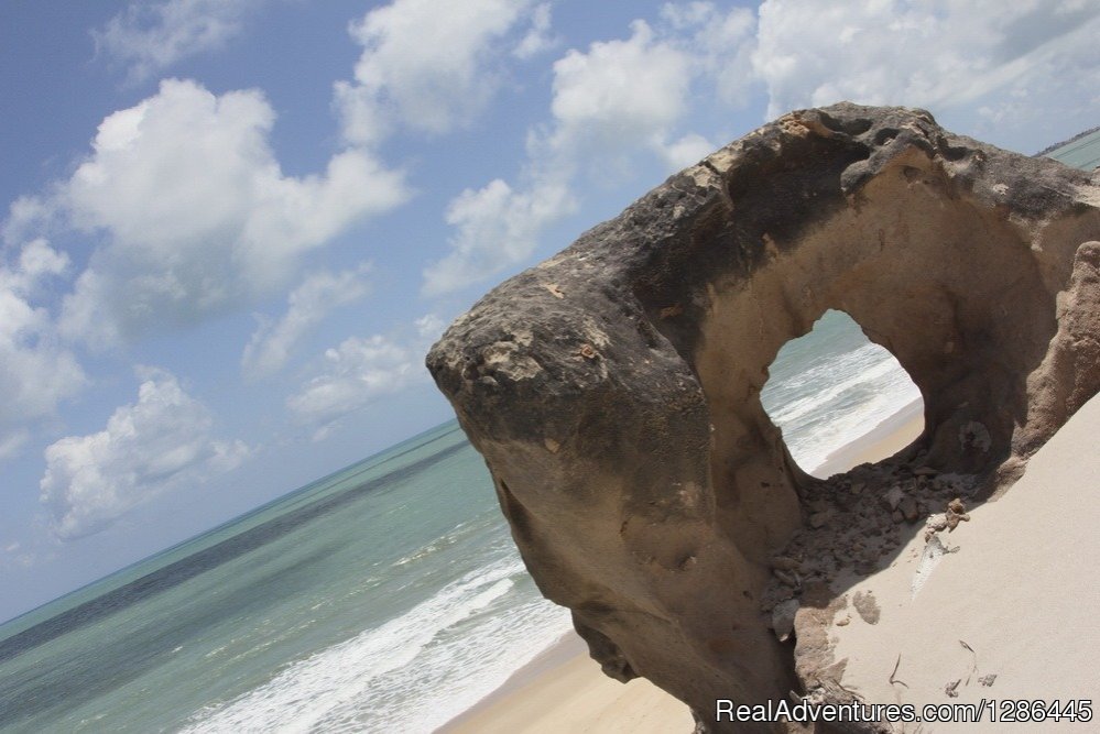 Baia da TraIcao cliff trail | discover the authentic Brazil | Image #19/21 | 