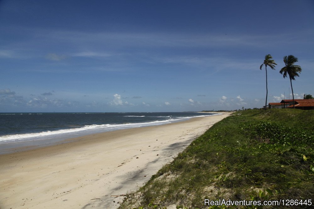 Baia da Traicao | discover the authentic Brazil | Image #21/21 | 