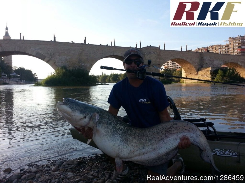 Cat Fishing From Kayak | Fishing Guides Ebro River Spain | Cuarte De Huerva, Spain | Fishing Trips | Image #1/9 | 