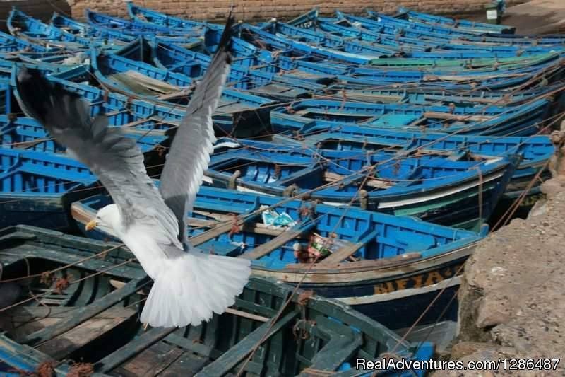 Essaouira atmosphere | Atlas Desert Tours | Image #3/5 | 