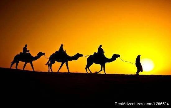 Morocco Desert Tours | Fes, Morocco | Wildlife & Safari Tours | Image #1/1 | 