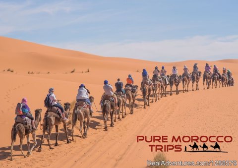 Off-roads In Merzouga Desert