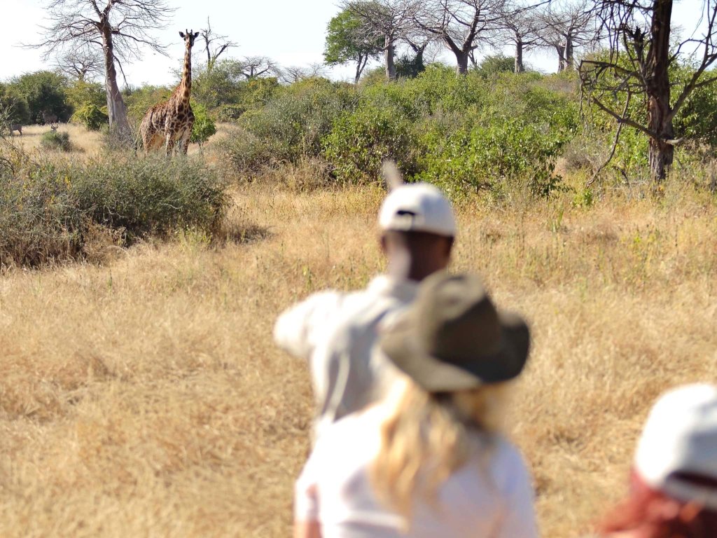 Nature Walk | 5 Days Manyara Np, Serengeti Np And Ngorongoro | Image #18/18 | 