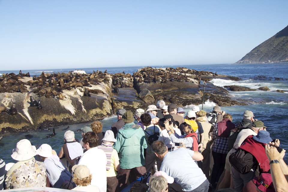 Breath-taking Tour To Cape Point | Image #5/10 | 