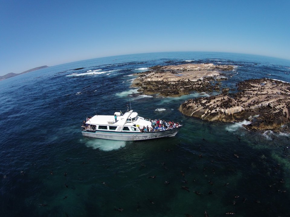 Breath-taking Tour To Cape Point | Image #4/10 | 