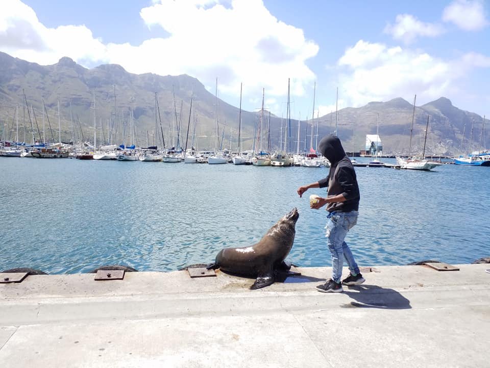 Breath-taking Tour To Cape Point | Image #9/10 | 