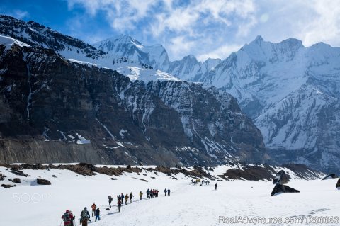 Annapurna base camp trekking