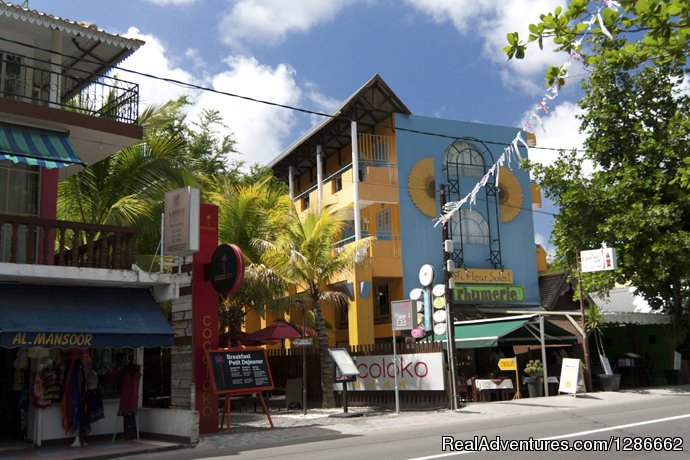 Vacation Rental Grand Bay, Mauritius | Image #14/24 | 