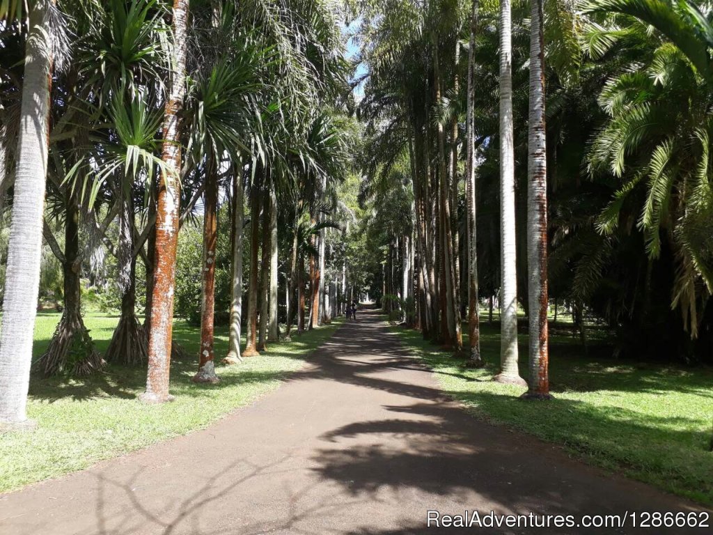 Vacation Rental Grand Bay, Mauritius | Image #22/24 | 