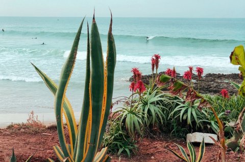 Devils Rock Surf Spot, Surf Discovery Morocco