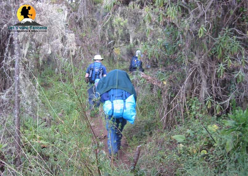 Climb Kilimanjaro | 6-Day Mt Kilimanjaro -Marangu Route | Image #3/6 | 