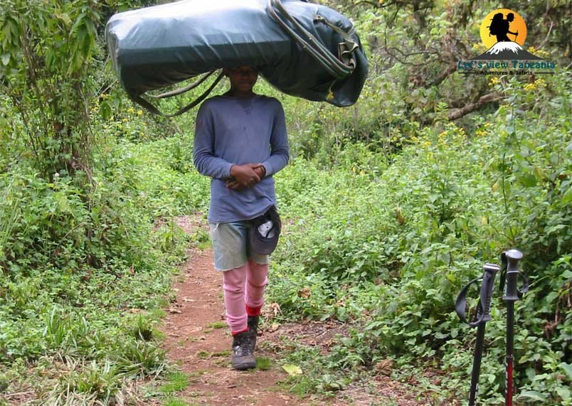 Climb Kilimanjaro | 6-Day Mt Kilimanjaro -Marangu Route | Image #6/6 | 