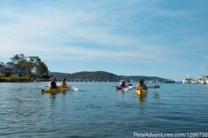 Kayak tours in Sydney's gorgeous Pittwater