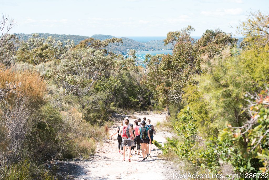 Kayak tours in Sydney's gorgeous Pittwater | Image #5/6 | 