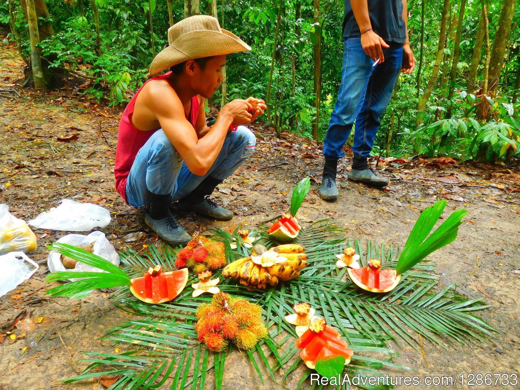 1 Day Jungle Trek At Bukit Lawang | Image #7/13 | 