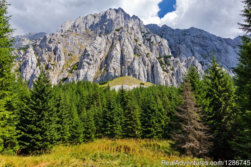 Wine tasting in Prahova Valley | Visit Transylvania in a unique maner | Image #8/10 | 