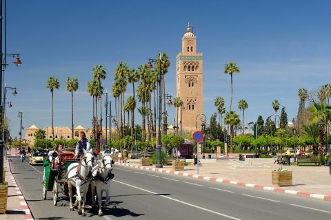 Morocco Tours