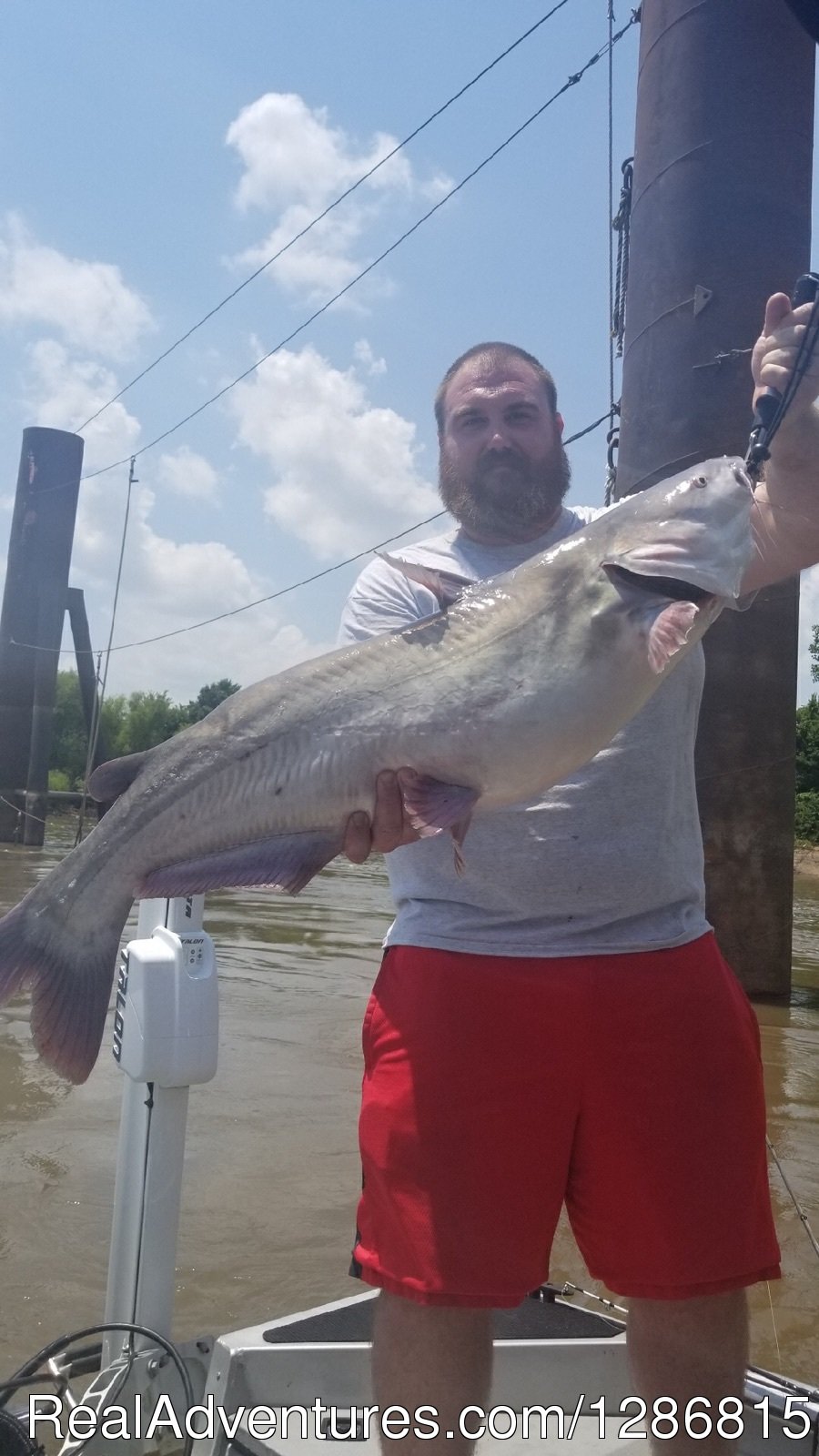 Fish Memphis for Trophy Catfish | Image #9/45 | 