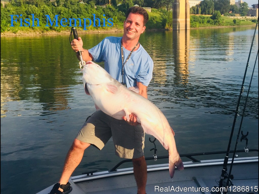 55lb Blue | Fish Memphis for Trophy Catfish | Image #11/45 | 