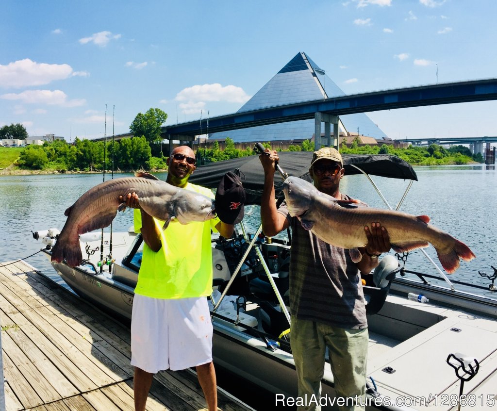 Fish Memphis for Trophy Catfish | Image #12/45 | 