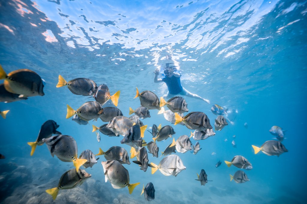 Snorkeling | High Tide Los Cabos , The Best Ecotours | Baja California, Mexico | Kayaking & Canoeing | Image #1/7 | 