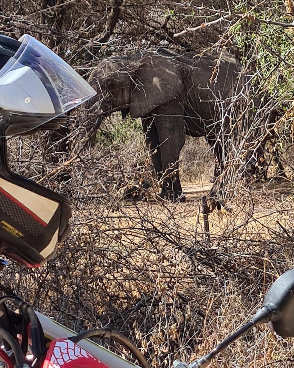 Motorcycle In Tanzania - 1-14 Days | Image #4/7 | 