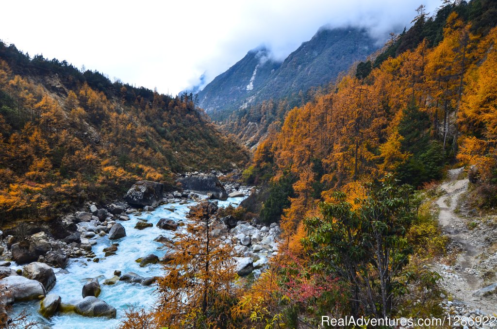 On the way to Kanchenjunga base camp | Trek Around Himalayas | Image #2/11 | 