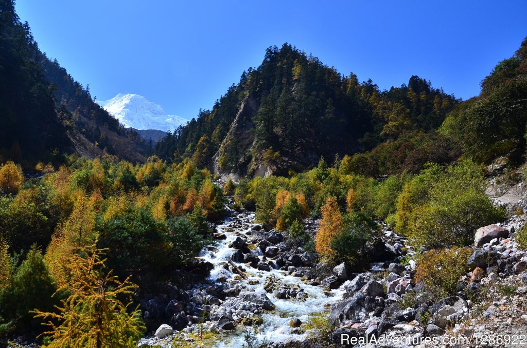 Trek Around Himalayas | Image #6/11 | 