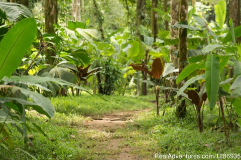 Agujitasfarm Day Tour