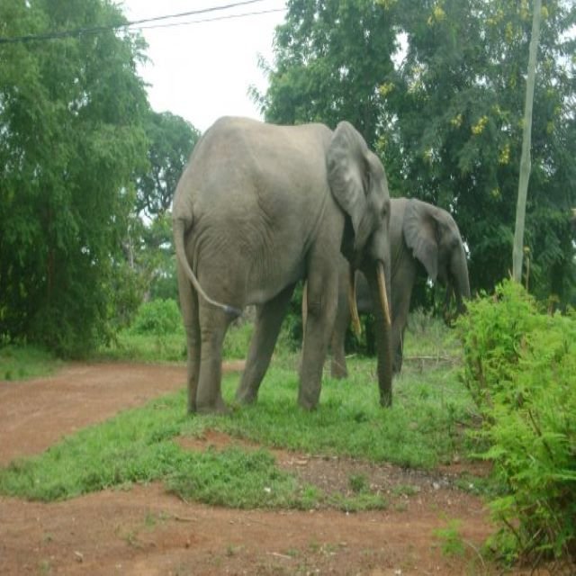 Experience the REAL Adventure in Northern Ghana | Image #5/6 | 